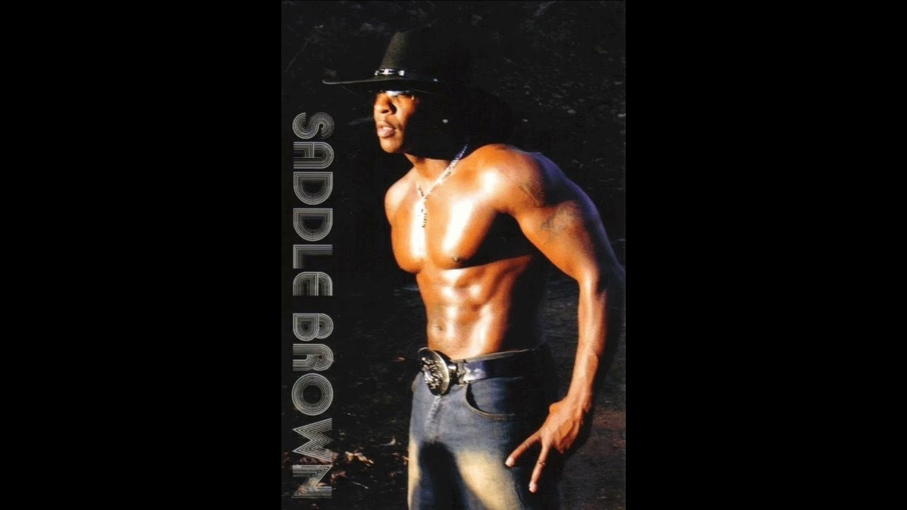 Saddle Brown I Didn't go country