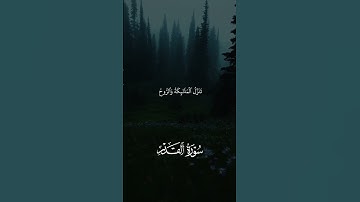 القارء : راشد حليبة /سورة القدر