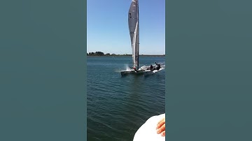 Tornado Catamaran - Metung