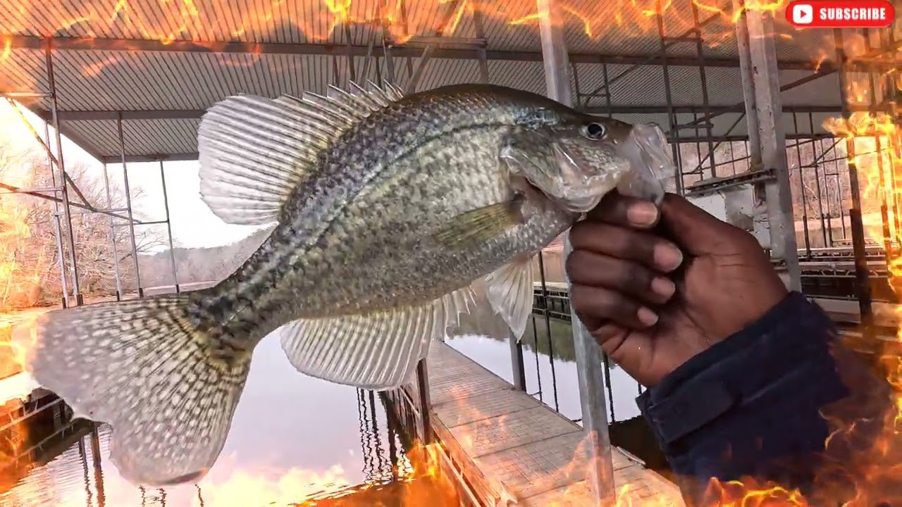 December Crappie Fishing Boat Docks! #like #share #subscribe 