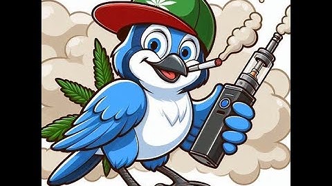 LATE NIGHT ASMR BLINKER CHECKPOINT!