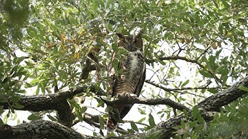 Look What’s New at Rice! Alumni Weekend Year-in-Review