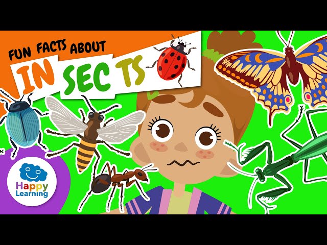 🐞 Learn ALL About INSECTS | Educational Videos for Children ...