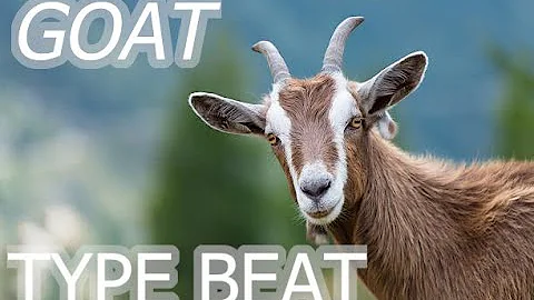 I made a beat with goat noises.