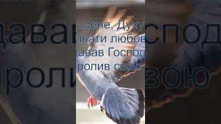 УРИВОК З ПІСНІ ПРОВАДЬ МЕНЕ, ДУХУ СВЯТИЙ