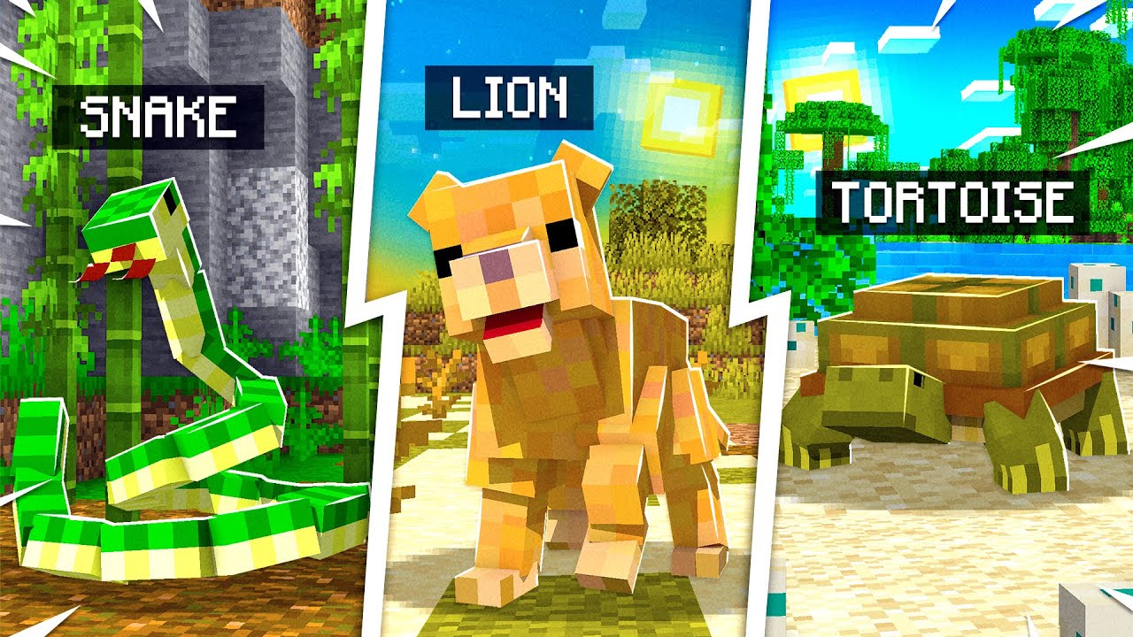 10 *NEW* PETS MINECRAFT NEEDS TO ADD!