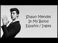 Shawn Mendes - In My Blood (Sub Español - Ingles)