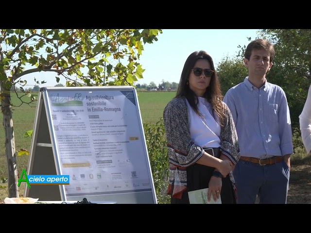 C+ Agro For ER: GESTIONE FORESTALE SOSTENIBILE AL BOSCO DI AGUGIARO E FIGNA - Puntata del 27-09-2026