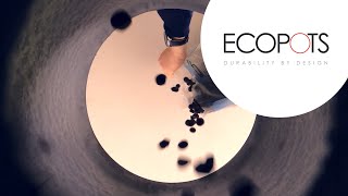 Download Lagu How to correctly pot your plant MP3