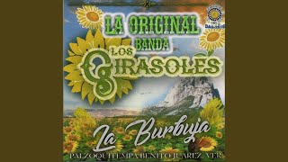 Video thumbnail of "La Original Banda Los Girasoles - Cumbia Arabe"