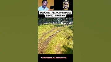 MITIANI YA MAISHA INASABABU YAKE KWA MUNGU USIKATE TAMAA Bongocomedy Mkonga Vichekeshofannyvideo 