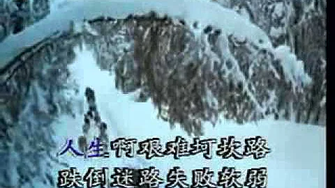 生命路 - 天天要聞