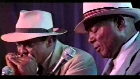 John Cephas and Phil Wiggins - Baby, What You Want...