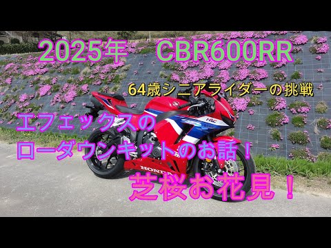 2025 CBR600RR Lowdown Kit and a trip to see the Shibazakura 2025 CBR600RR Lowdown Kit and a trip to see the Shibazakura