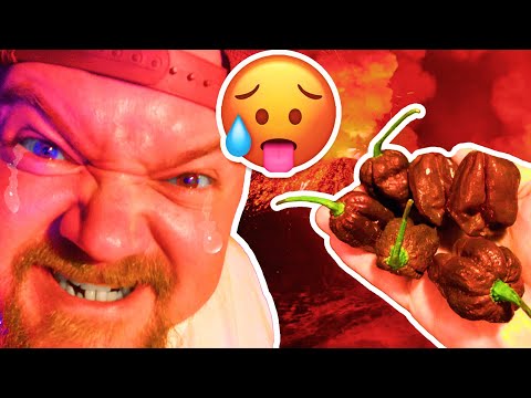 hottest pepper in the