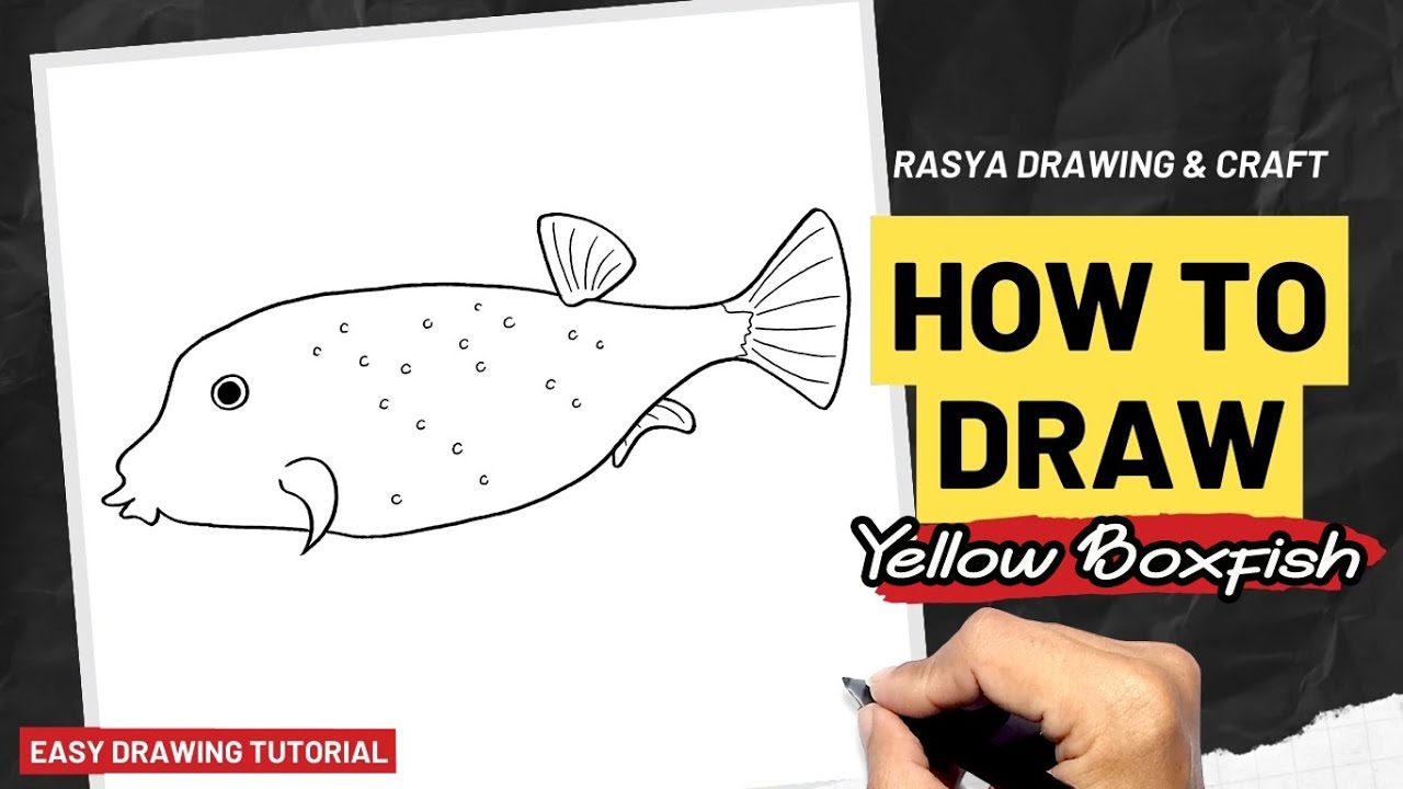 Draw Yellow Box How to draw Yellow Boxfish - YouTube
