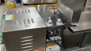 DPP260 DPH series blister packaging machine
