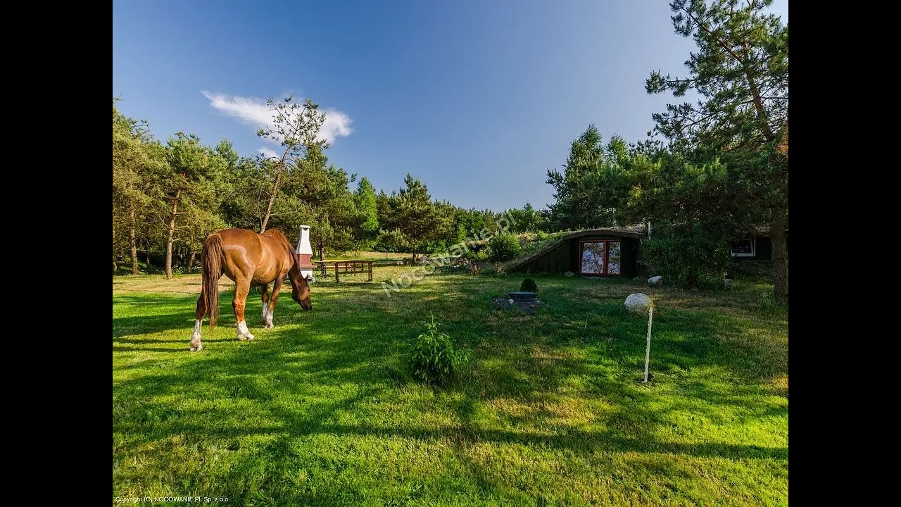 Baśniowe Chaty Krasnoludów w Ośrodku Jeździeckim Skręt - Hotelowa Polska S02E09