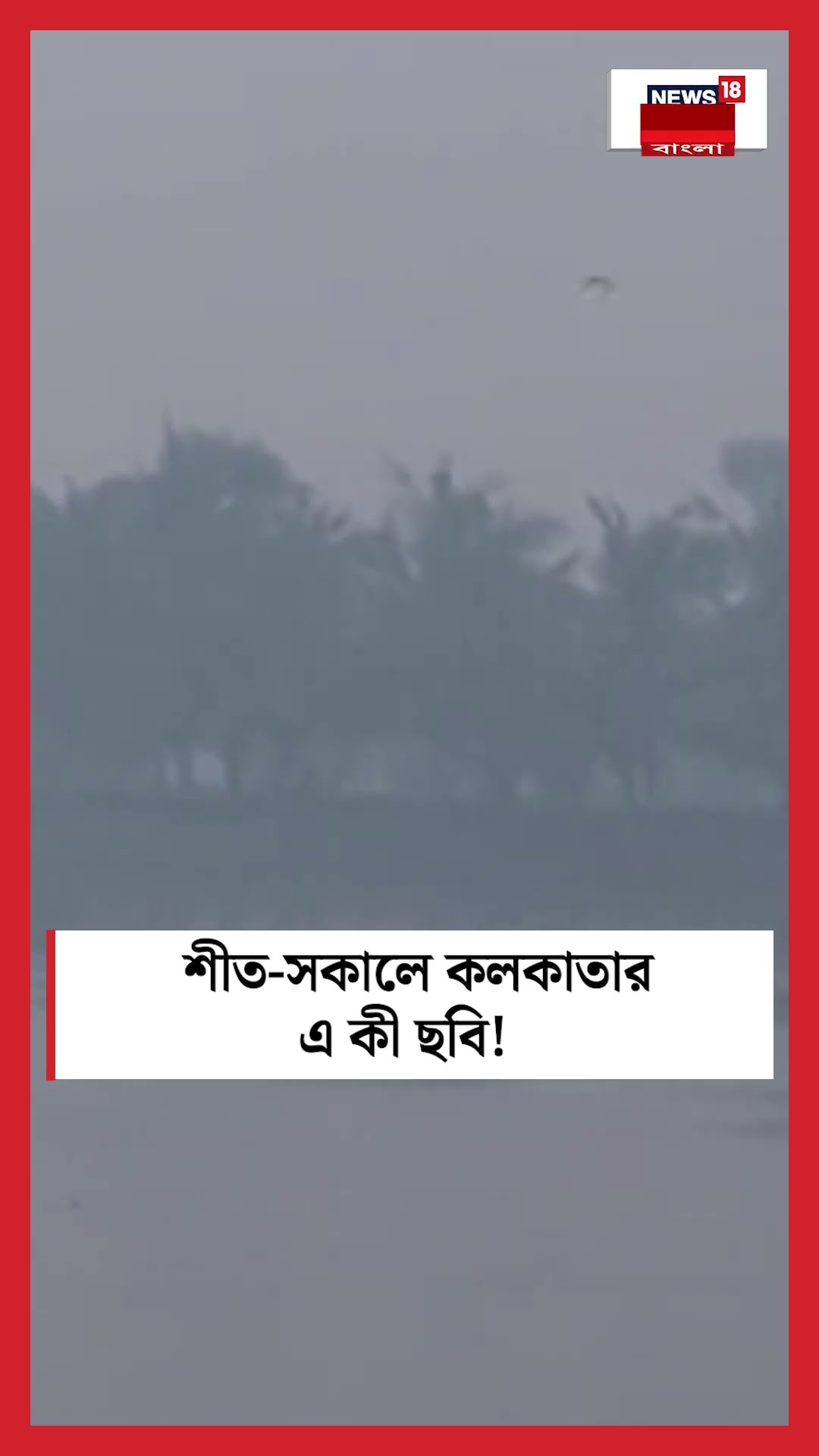 শীত সকালে Kolkata র এ কী ছবি! #shorts