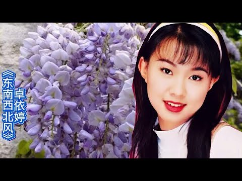 卓依婷经典歌曲 东西南北风