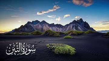 سورة التين -  تلاوة الشيخ محمد محمود الطبلاوى