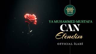 Efendimize (S.A.V) En Derin Özlem: 💚 Ya Muhammed Mustafa Can Efendim (Official İlahi) İlahi Yankılar