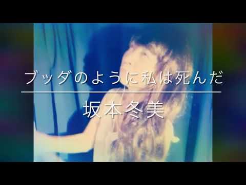 #ブッダのように私は死んだ    #坂本冬美  #桑田佳祐  又々歌ってみました🐝
