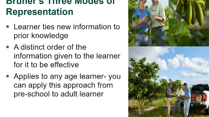 Bruner's Discovery Learning Theory Instructional V...