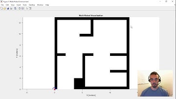 Programming Robot Swarms