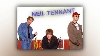 Neil Tennant - If there was love (AI cover Liza Minnelli)