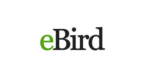 How to use eBird, a introductory guide!