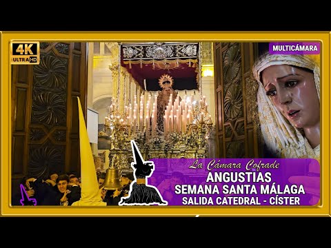 Fervorosa Hermandad Sacramental y Real Cofradía de Nazarenos del Sagrado Descendimiento de Nuestro Señor Jesucristo, Nuestra Señora del Santo Sudario y María Santísima de las Angustias