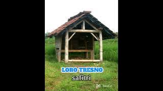 LORO TRESNO _ _ SAFITRI (dangdut campursari)