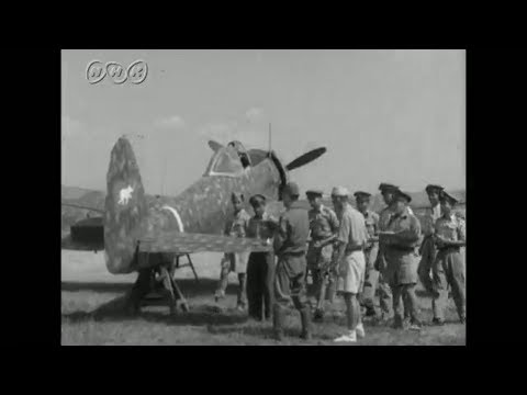 枢軸国タイ国軍  【第二次世界大戦】
