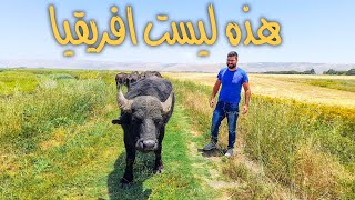 يومين في زحلة عروس البقاع السياحة في لبنان