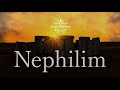 Ravdrum『Nephilim 』立花朝人 RAV Drum : D Celtic minor (ラブドラム) Ravvast Asato Tachibana