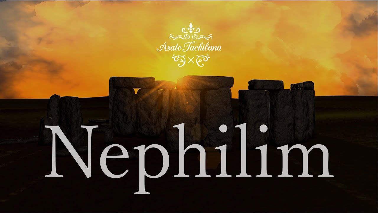 Ravdrum『Nephilim 』立花朝人 RAV Drum : D Celtic minor (ラブドラム 