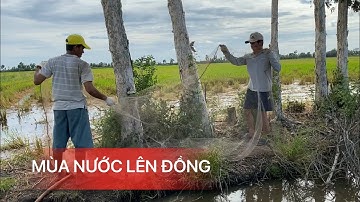 NƯỚC LÊN ĐỒNG • SĂN BẮT KIỂU GÌ CŨNG TRÚNG MÁNH