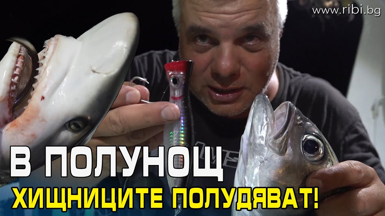 Хищниците полудяват в полунощ!