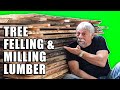 Tree Felling &amp; Milling My Own Lumber with a Portable Sawmill