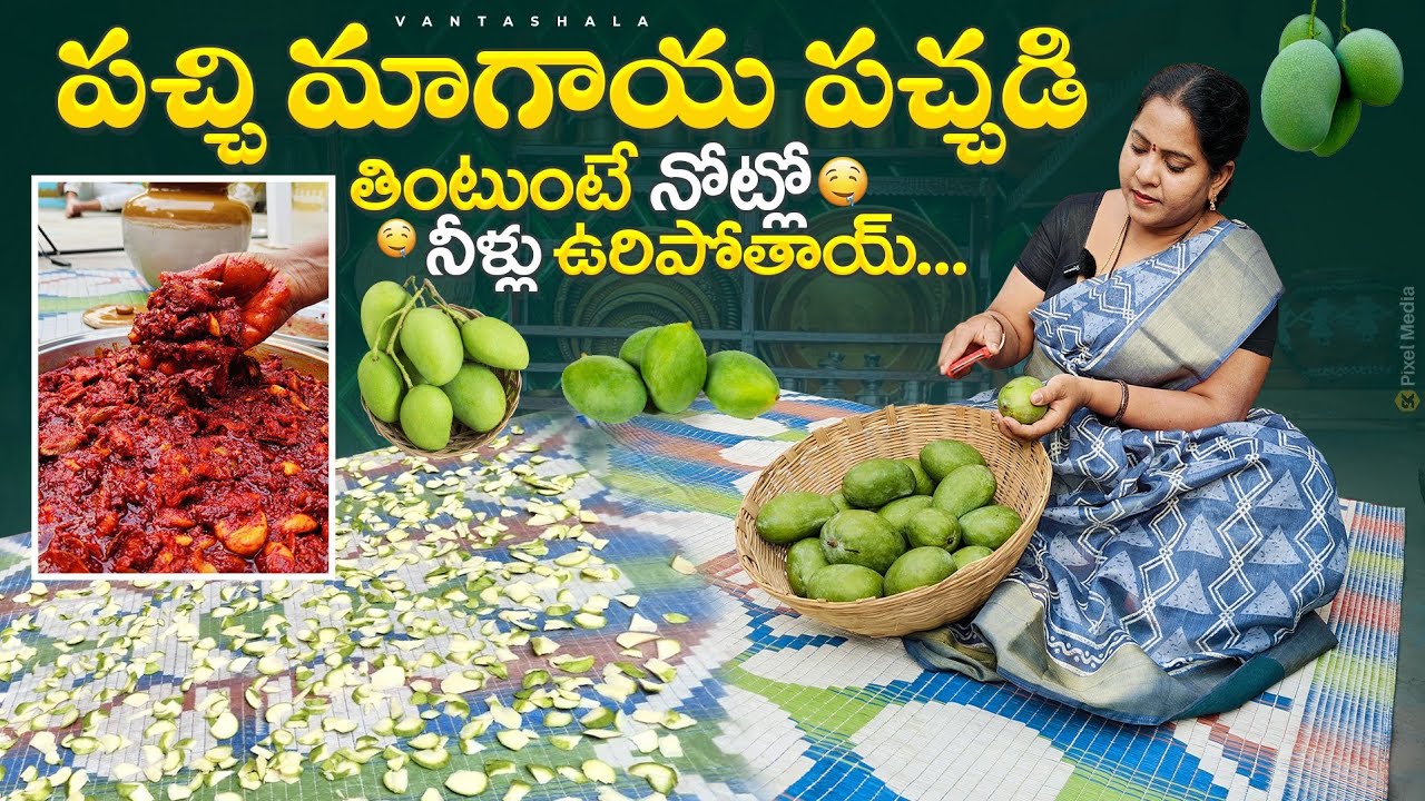పచ్చి మాగాయ తింటే వదిలిపెట్టారు |mango pickle recipe|magaya nilvva pachadi