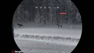 Nocpix Mate Ultra S60R LRF Clip-on - Swedish Moose
