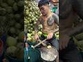 Coconut Cutting Master #bangkoktravel #thaistreetfood #coconutcuttingskill
