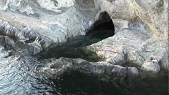 吉田由利子 Youtube