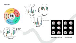 Paper Presentation On Behavioural And Neural Signatures Of Visual Imagery Vividness Extreme