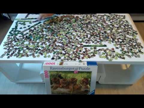 Ravensburger puzzle 1000 - Wild cats ( Time lapse ) - YouTube