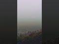 Train Journey|foggy weather #viral #viralvideo #viralshorts #shortsvideo