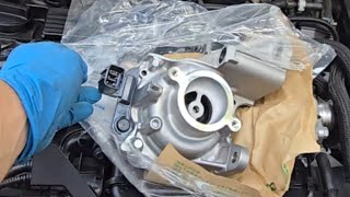 TOYOTA COROLLA E210 12TH GEN,  COOLANT WATER PUMP & THERMOSTAT HOW TO CHANGE SERVICE REPLACE GUIDE