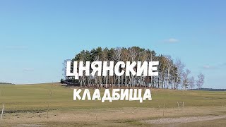 картинка: Нашел много интересного на старых кладбищах Минска