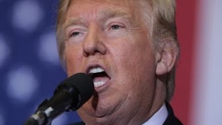 Clinton looks to reinforce Michigan as internal polls tig...